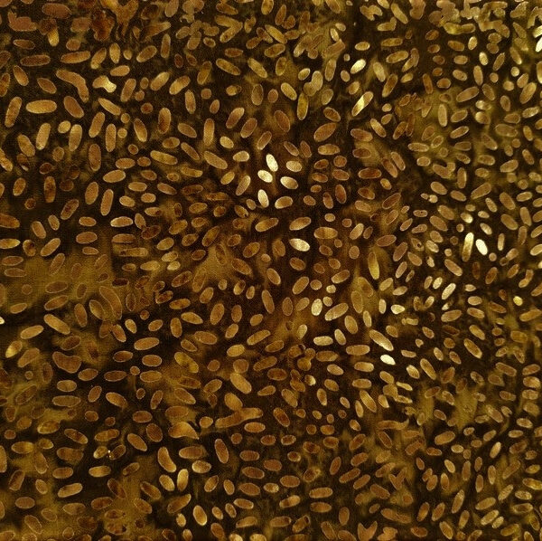 TELA BATIK MARRÓN 2